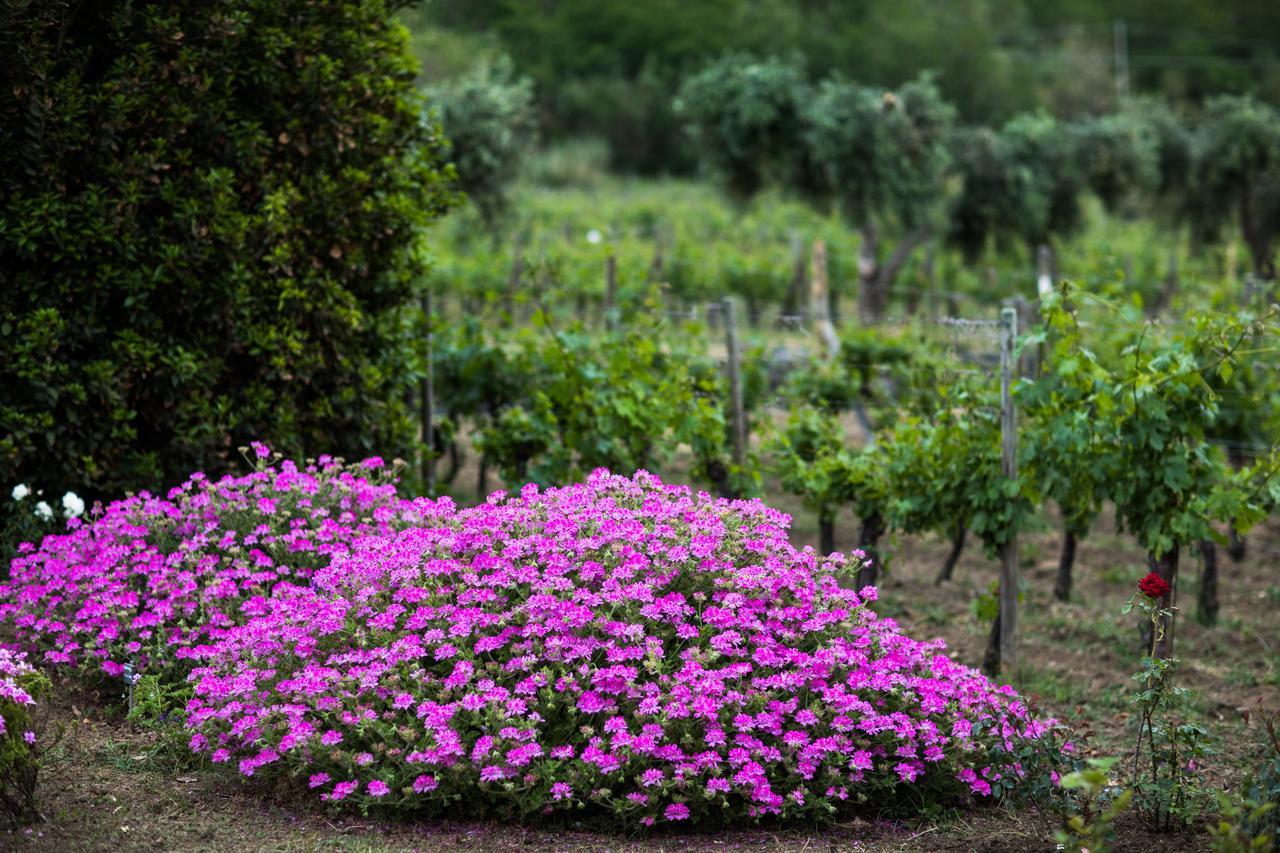 מאלפה Capofaro Locanda & Malvasia מראה חיצוני תמונה